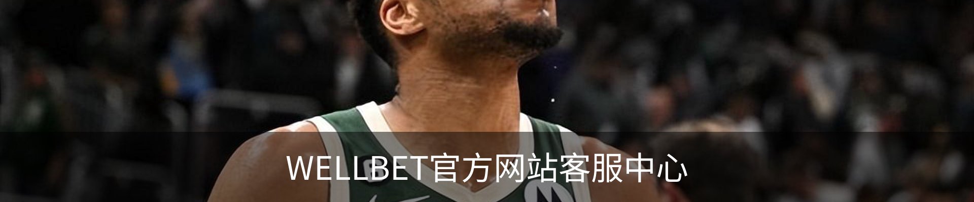 WELLBET官方网站客服中心